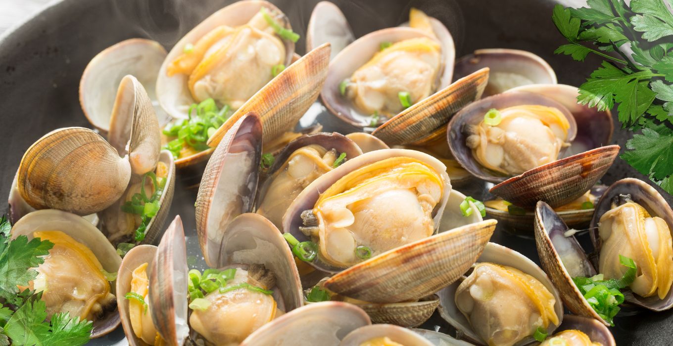 Steamed Clams in Garlic & Oil Recipe | Best Seafood Recipes