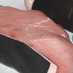 mako shark steaks fresh