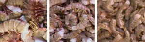 fresh shrimp at ct seafood market