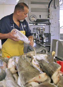 fresh seafood middletown wholesale southington fish
