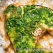grilled swordfish with chimichurri