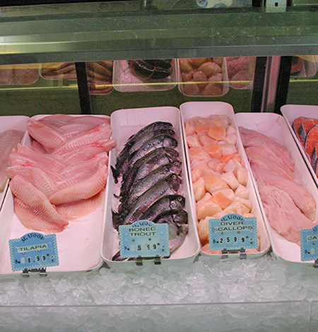 fresh wholesale seafood in manchester ct