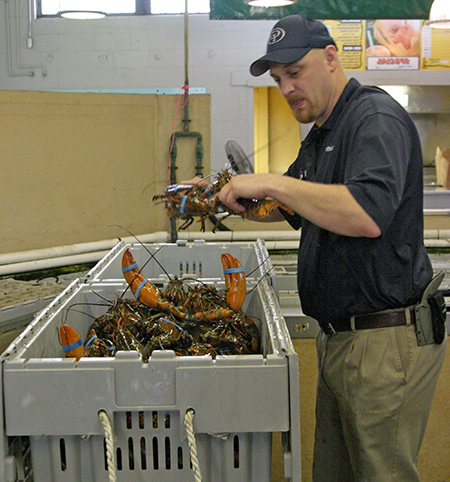 fresh seafood and lobster prepared to sell