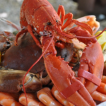 wholesale seafood and lobster in rhode island ct