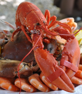 wholesale seafood and lobster in rhode island ct