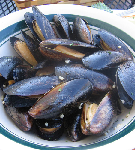 fresh mussels delivery in Western ma