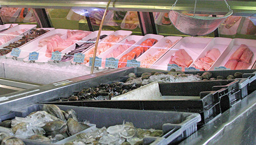 freshwater and saltwater fish retail fish market CT