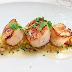 grilled and broiled scallops and scallop recipe