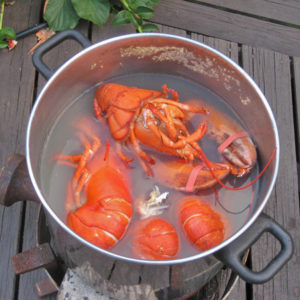 Boiled Lobster in Rhode Island, CT