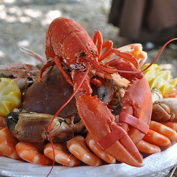 fresh lobster market in Western, CT