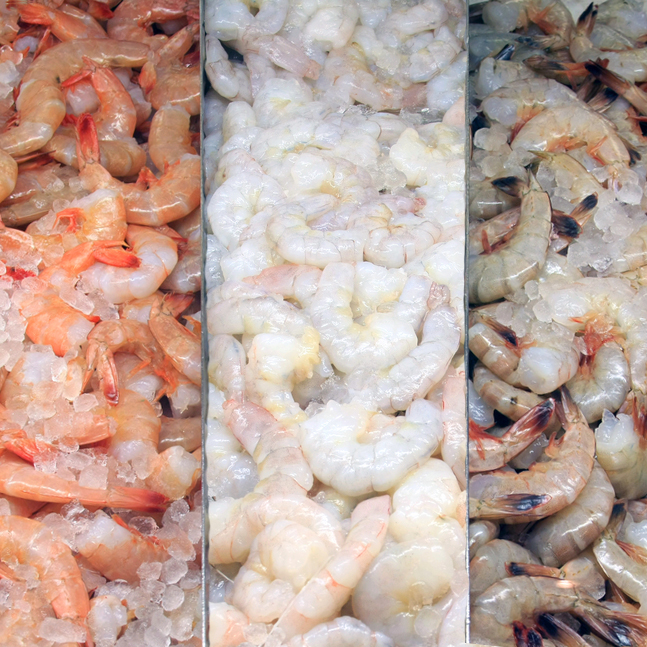 choosing your shrimp, bristol ct