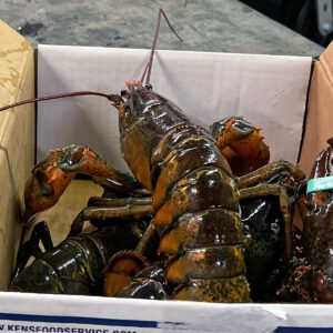 Fresh lobster and other seafood available in Rocky Hill & Glastonbury CT