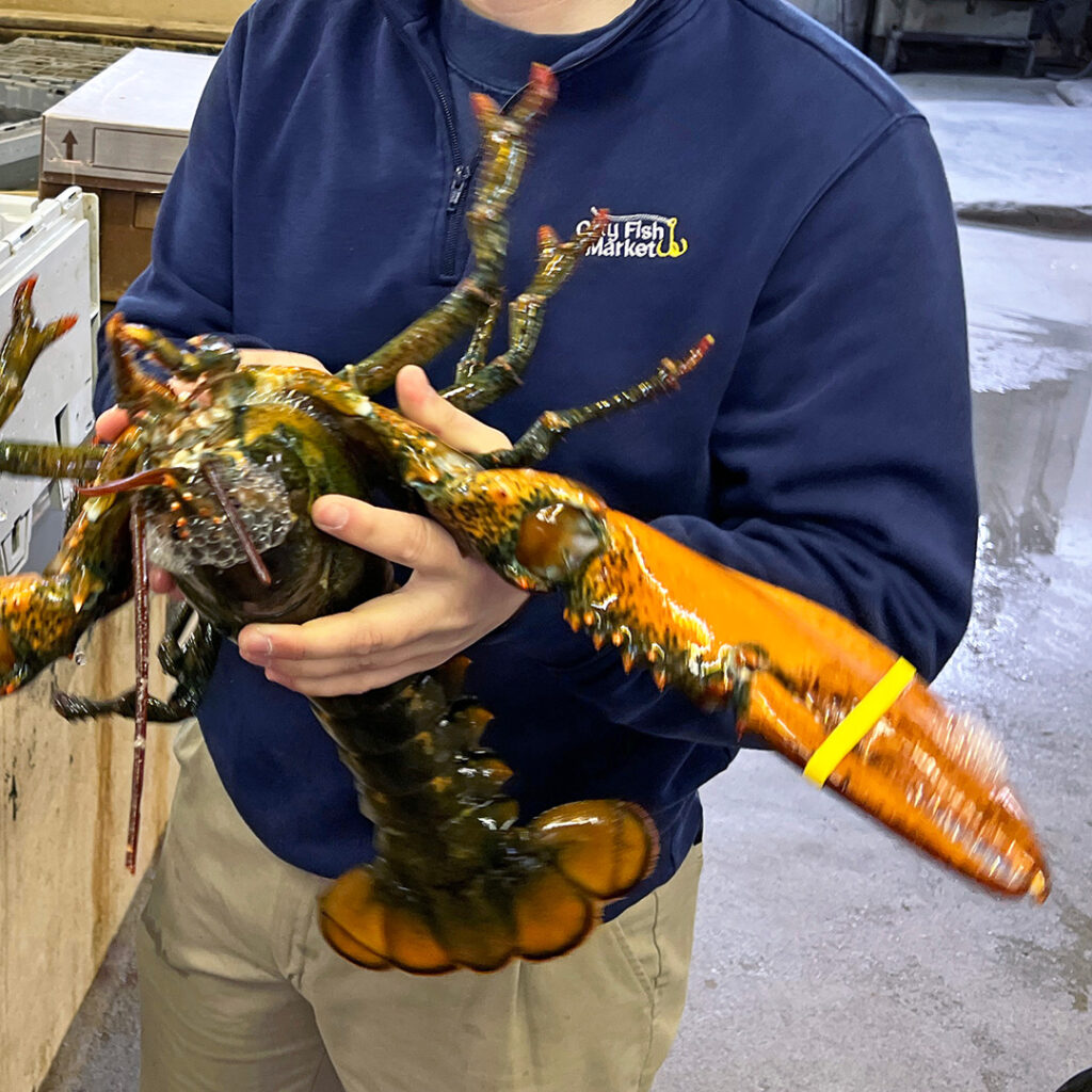 Fresh in Season Lobster in  Norwalk CT