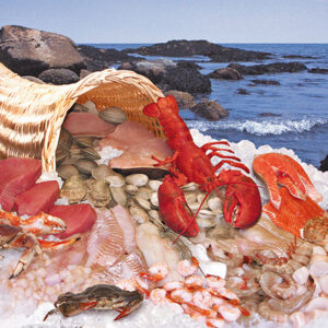 Wholesale seafood delivery & seafood counter serving in Connecticut, Western Massachusetts & more.