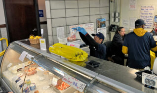 fresh seafood market in Avon CT