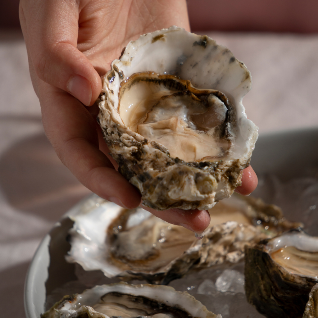 Top Tips for Handling, Storing, and Cooking Shellfish at Home