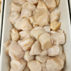 Fresh Sea Scallops