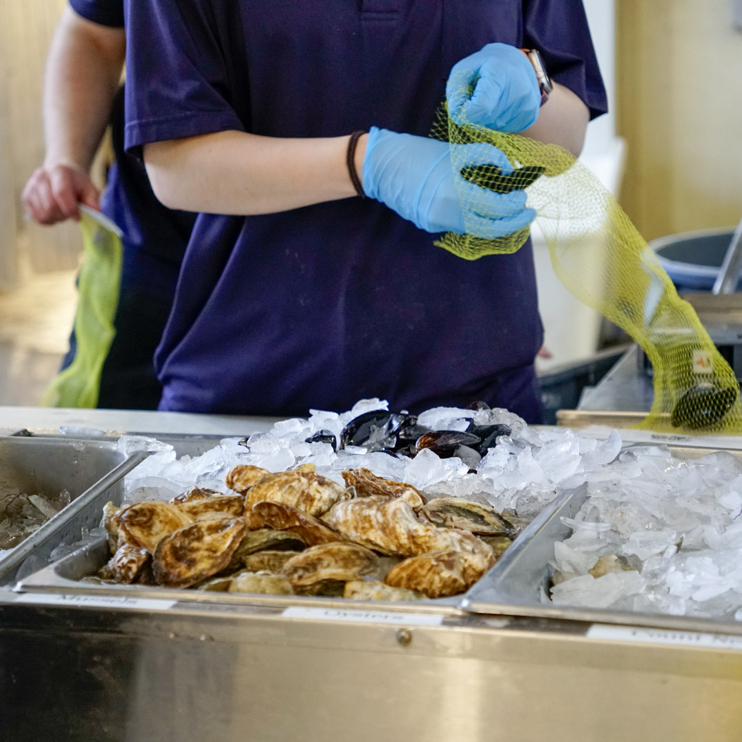 Fresh raw oysters in Wethersfield, CT and New Britain, CT. 