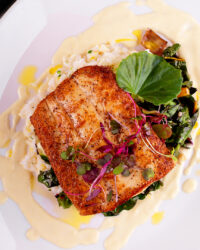 easy halibut recipe
