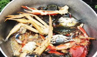 How to prepare the perfect crab boil with crab legs and fresh blue crab in Wethersfield, CT and Glastonbury, CT.
