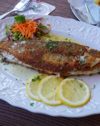 Miso Ginger Glazed Rainbow Trout with Crispy Skin